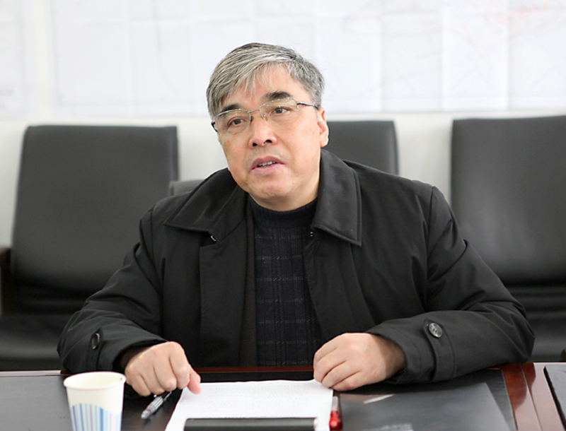 集团公司党委委员、总工程师吴玉华对钱营孜矿提出要求.JPG